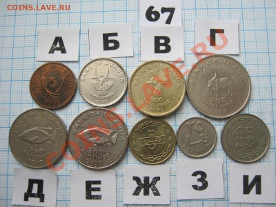 ЭКЗОТИКА-2. МНОГО ВСЯКОЙ РАЗНОЙ!!! ПОСТОЯННОЕ ПОПОЛНЕНИЕ!!! - 67-1.JPG
