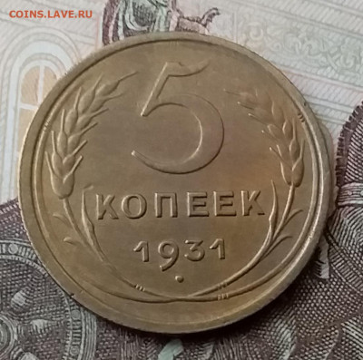 5 копеек 1931. До 25.03.20 в 22.00 - 20200323_124655
