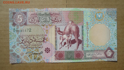 ЛИВИЯ 5 ДИНАР 2002 UNC - DSC08578.JPG