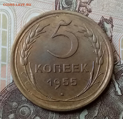 5 копеек 1955. До 25.03.20 в 22.00 - 20200323_131552