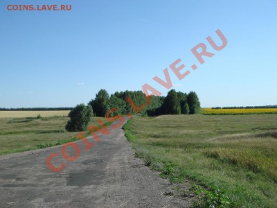 ФОТО - просто фото. Те что получились удачными. - 003