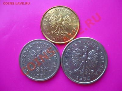 Три монеты Польши с рубля до 29.08.11 в 22:00 МСК - IMG_0203