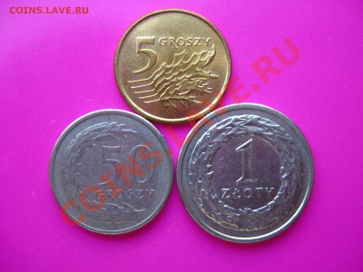 Три монеты Польши с рубля до 29.08.11 в 22:00 МСК - IMG_0202
