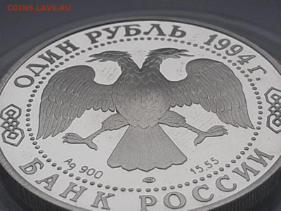 1₽ Среднеазиатская кобра  до 29.03. - IMG-20200324-WA0004