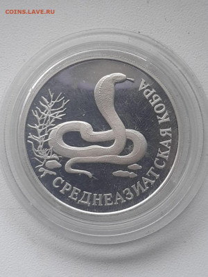 1₽ Среднеазиатская кобра  до 29.03. - IMG-20200324-WA0001