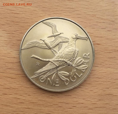 Крона Британские Виргинские острова 1$ доллар 1974 птица - krona_shajba_britanskie_virginskie_ostrova_1_dollar_1974_pticy_fauna