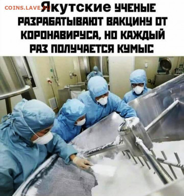 юмор - Кумыс.JPG