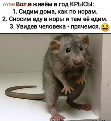 N-CoV(CoronaVirus) КоронаВирус.Последние новости - ппп