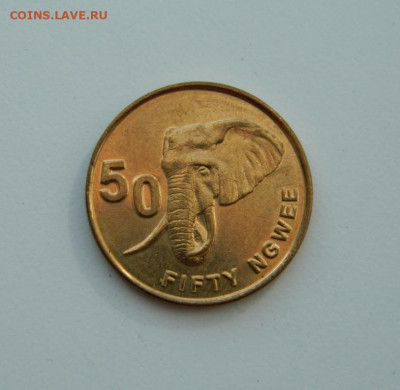 Замбия 50 нгве 2012 г. (Фауна)без обращения. до 01.04.20 - DSCN0002.JPG