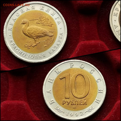 Краснозобая Казарка 10 рублей 1992 год. До 30.03. N2 - IMG_20200324_204531