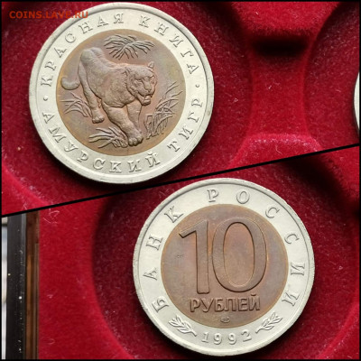 Амурский Тигр 10 рублей 1992 год. Хороший. До 30.03. N2 - IMG_20200324_204528