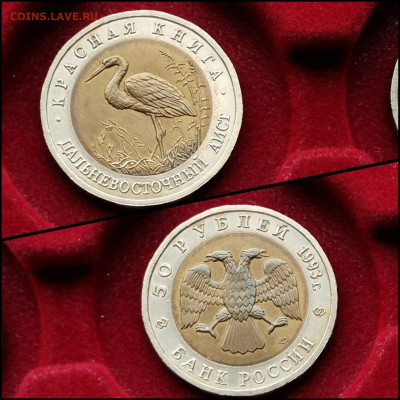 Дальневосточный Аист 50 рублей 1993. Хороший. До 30.03. N2 - IMG_20200324_204523