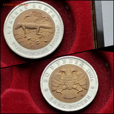 Туркменский Зублефар 50 рублей 1993. Хороший. До 30.03. N2 - IMG_20200324_204513