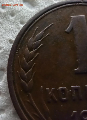 1 копейка 1924, гладкий гурт - IMG_20200327_054001