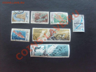 10 руб. - S5000023_thumb