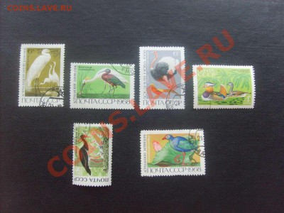 10 руб. - S5000025_thumb