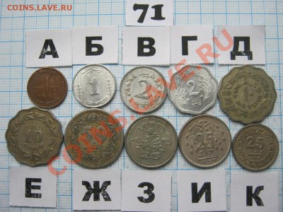 ЭКЗОТИКА-2. МНОГО ВСЯКОЙ РАЗНОЙ!!! ПОСТОЯННОЕ ПОПОЛНЕНИЕ!!! - 71-1.JPG