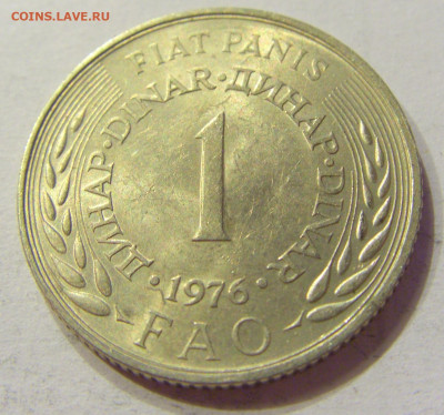 1 динар 1976 ФАО Югославия №2 03.04.2020 22:00 МСК - CIMG3577.JPG