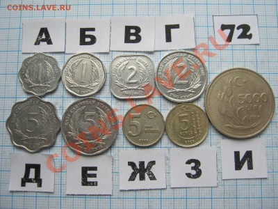 ЭКЗОТИКА-2. МНОГО ВСЯКОЙ РАЗНОЙ!!! ПОСТОЯННОЕ ПОПОЛНЕНИЕ!!! - 72-1.JPG