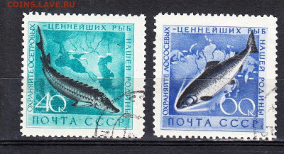 СССР 1959 фауна по фиксу до 29 03 - 578