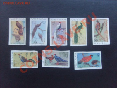 15 руб. - S5000001_thumb