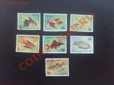 10 руб. - S5000002_thumb