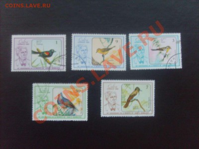 10 руб. - S5000008_thumb