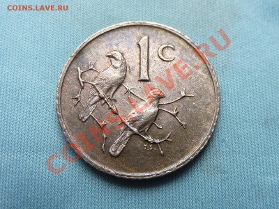 С 1 рубля ЮЖНАЯ АФРИКА  1с ПТИЧКИ до 1.09.11 в 22-00 - MEMO0065.JPG