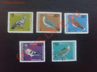 10 руб. - S5000012_thumb