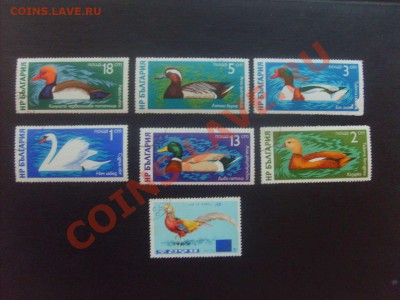 10 руб. - S5000013_thumb