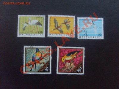 10 руб. - S5000014_thumb