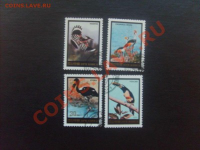 10 руб. - S5000017_thumb