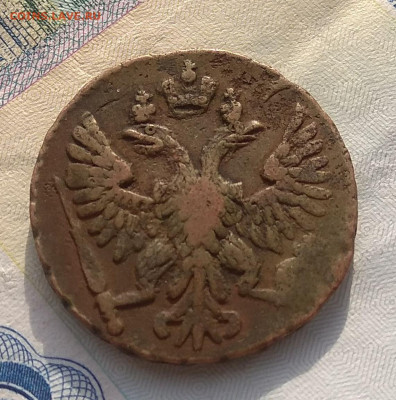 Денга 1750. +  Полушка 1735 .Оценка . - IMG_20200328_175025