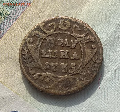 Денга 1750. +  Полушка 1735 .Оценка . - IMG_20200328_151251