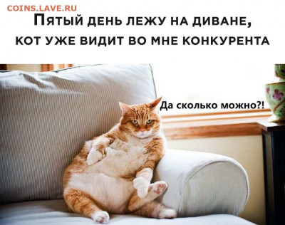 юмор - WdiFqX5E-S0