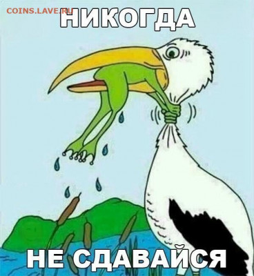 юмор - i