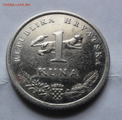 1 куна 2013г. - DSC07522.JPG