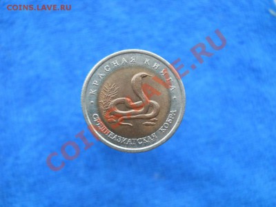 Среднеазиатская кобра КК92 29,08,11 22-00+10мск - 1771307887