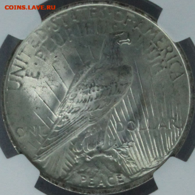 США. Мирный доллар 1923 s. В слабе NGC. - 1 доллар б