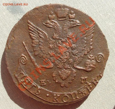 царская медь - SL372731.JPG