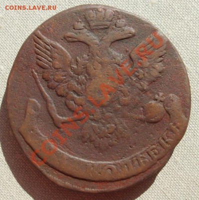 царская медь - SL372735.JPG