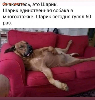 делает - прямо сейчас !!! - HIS81TQHyNw