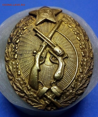 на опознание знак РСФСР с винтовкой и револьвером - IMG_20200331_185748