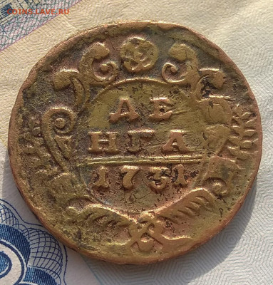 Денга 1731 года . Оценка. - IMG_20200328_175150