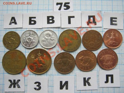 ЭКЗОТИКА-2. МНОГО ВСЯКОЙ РАЗНОЙ!!! ПОСТОЯННОЕ ПОПОЛНЕНИЕ!!! - 75-2.JPG