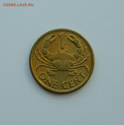 Сейшельские острова 1 цент 2004 г.(Фауна) до 07.04.20 - DSCN9997.JPG