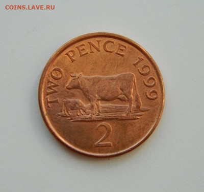 Гернси 2 пенса 1999 г. (Фауна) до 07.04.20 - DSCN9958.JPG