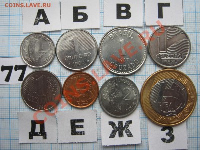 ЭКЗОТИКА-2. МНОГО ВСЯКОЙ РАЗНОЙ!!! ПОСТОЯННОЕ ПОПОЛНЕНИЕ!!! - 77-1.JPG