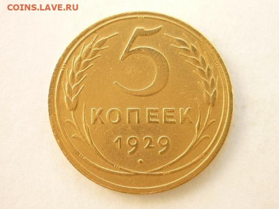 5 копеек 1929г., до 05.04.20г., 21.00 - P1050989.JPG