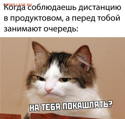 юмор - xydx3BPoYlU